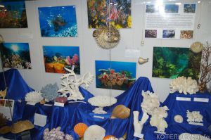 Конхиофилия &mdash; это прекрасно