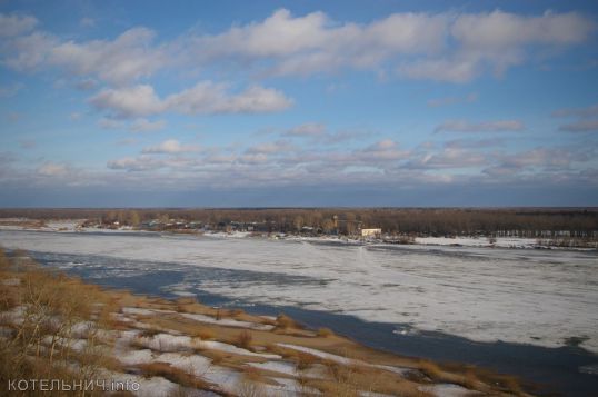 Чайки прилетели