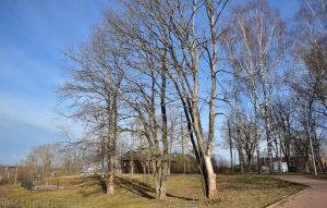 Весенняя набережная