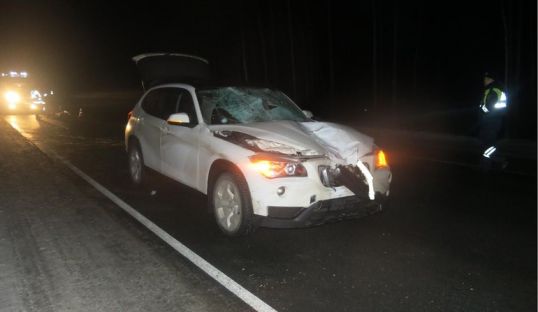 Второе ДТП, в котором погиб пешеход, за два дня