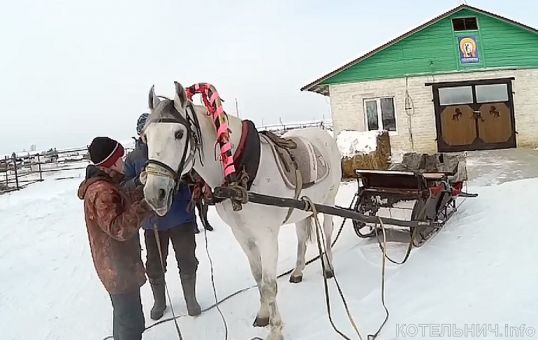 В Юбилейном приглашают на санные катания