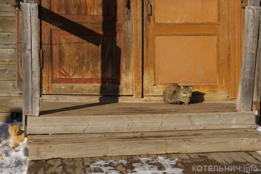 Неформальная масленица