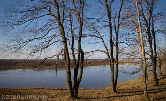 Инициативы: настоящие и будущие