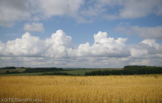 Жара закончилась, лето продолжается