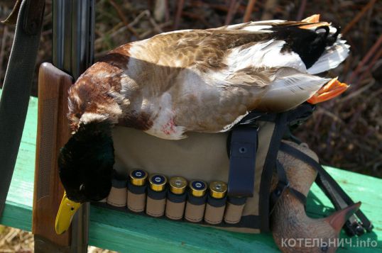 Открывается весенняя охота