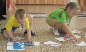 Знатоки дорожных правил