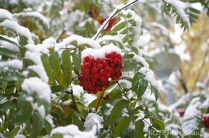 Котельнич сегодня