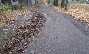 Модернизация докатилась до котельничских тротуаров