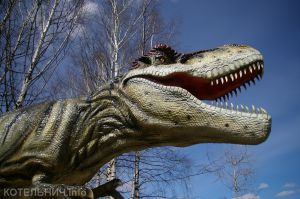 Динопарк меняет график работы