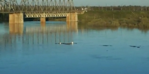 &laquo;Автоматизированная&raquo; установка бакенов