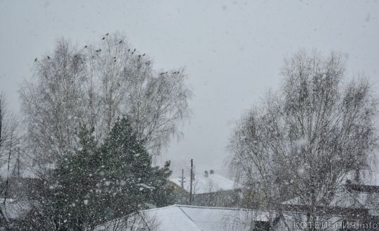 Зима осторожно подкралась и белой порошею...