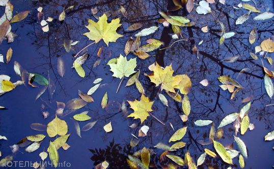 Плачущее небо под ногами