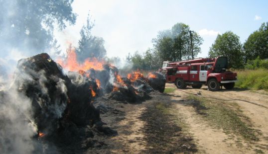 Шестеро пожарных тушили сено