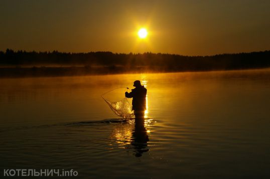 Блог спасского аборигена. Теория эволюции