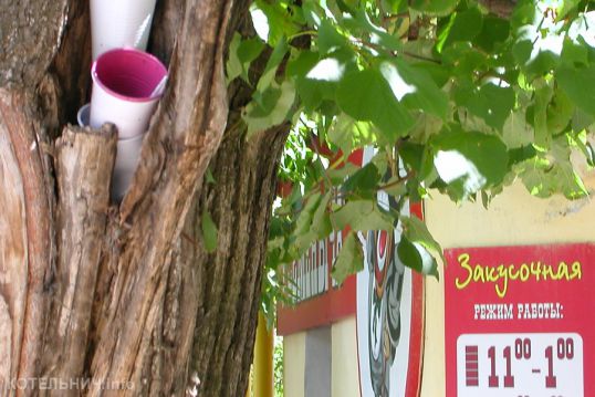 &laquo;Семеныча&raquo; закрыли на два месяца