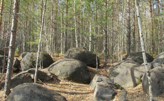В Котельничском районе готовятся к охране &laquo;Жуковлянских валунов&raquo;