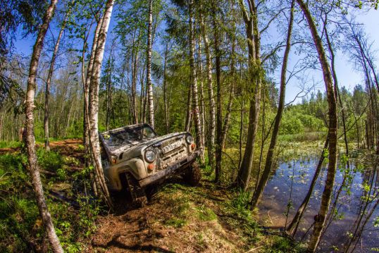 Уехали в дебри