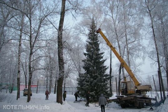 В лесу родилась ёлочка