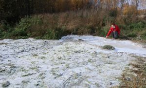 В Котельничском районе появилось "молочное болото"