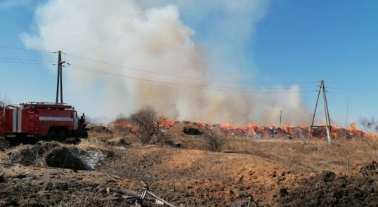 «Листрейд» и «Вуд Ворд» могут поплатиться за свалку древесных отходов