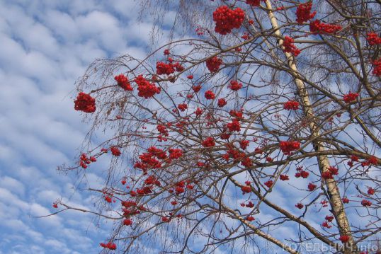 Запахло весной