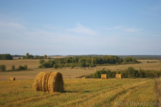 Жара допекла