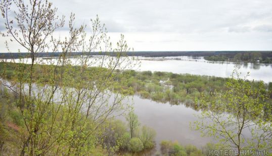 Уровень воды в Вятке около Котельнича начал падать