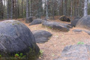 «Черные камни» возьмут под охрану