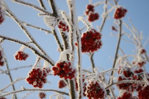 Метеопредупреждение