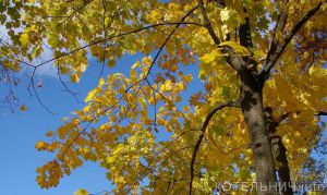 Жара, сентябрь