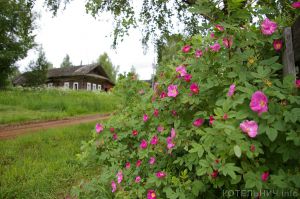 Лето, ах лето