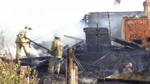 Семеро пожарных тушили дом в Вишкиле