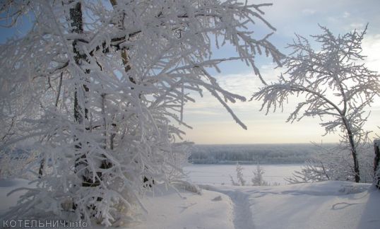 К Новому году в Котельниче потеплеет