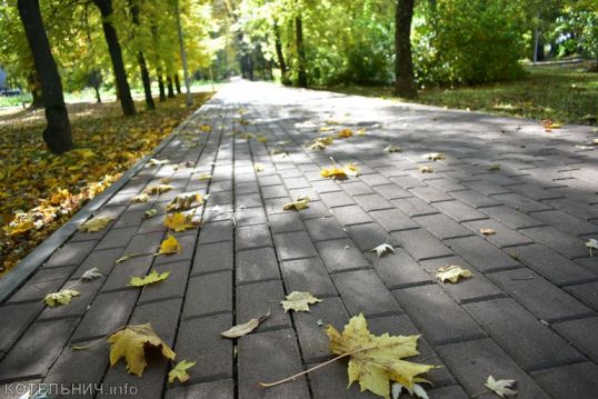 Кленовый листок