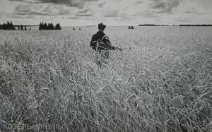 Котельнич: годы и люди