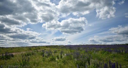 Жара ушла, но обещала вернуться