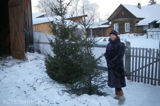 Открылся ёлочный базар
