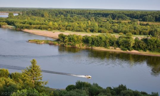 В устье Моломы