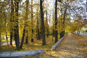 Ждем золотую осень