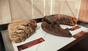 Как найти своего мамонта