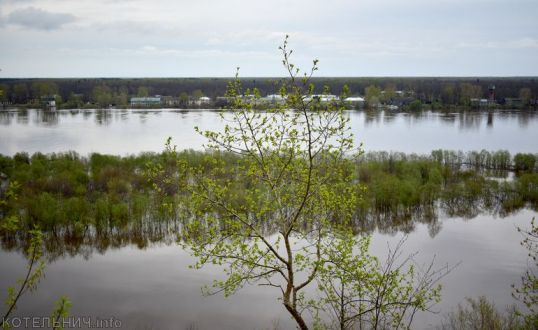 На праздники в Котельниче потеплеет