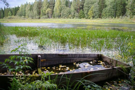 Жалкие &laquo;остатки&raquo; бабьего лета