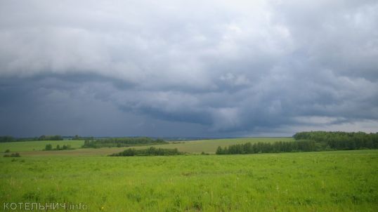 Медвежья услуга