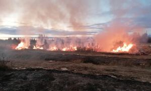 Около Котельнича на выходных горела крупная свалка древесных отходов