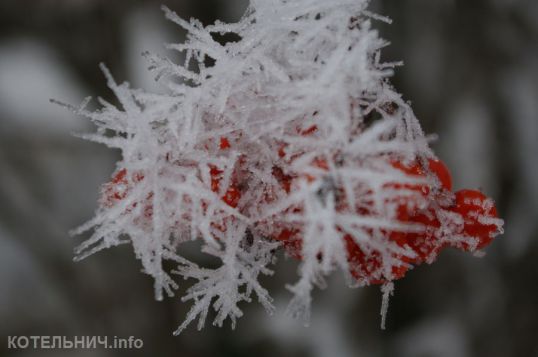 Вместо снега изморозь