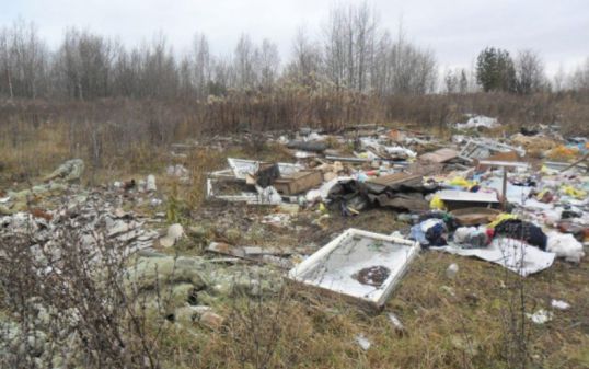 Штраф за свалку