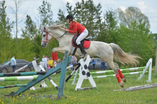 Соревнования по конному спорту