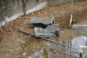 Будьте осторожны! Дикие котельничане!