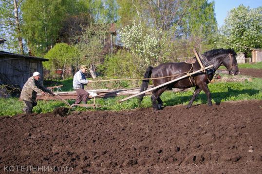 Импортозамещение по-вятски