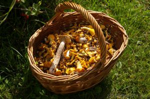 Котельнич сегодня